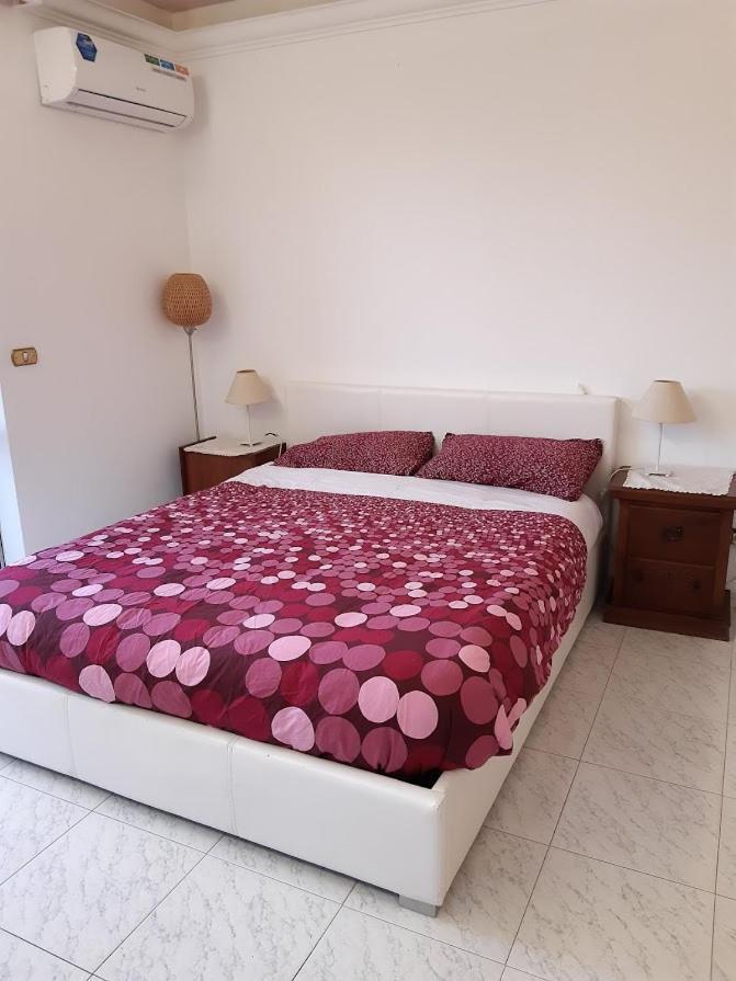 La Casa Tra Gli Ulivi Di Fonte Nuova 2 Villa Mentana Bagian luar foto