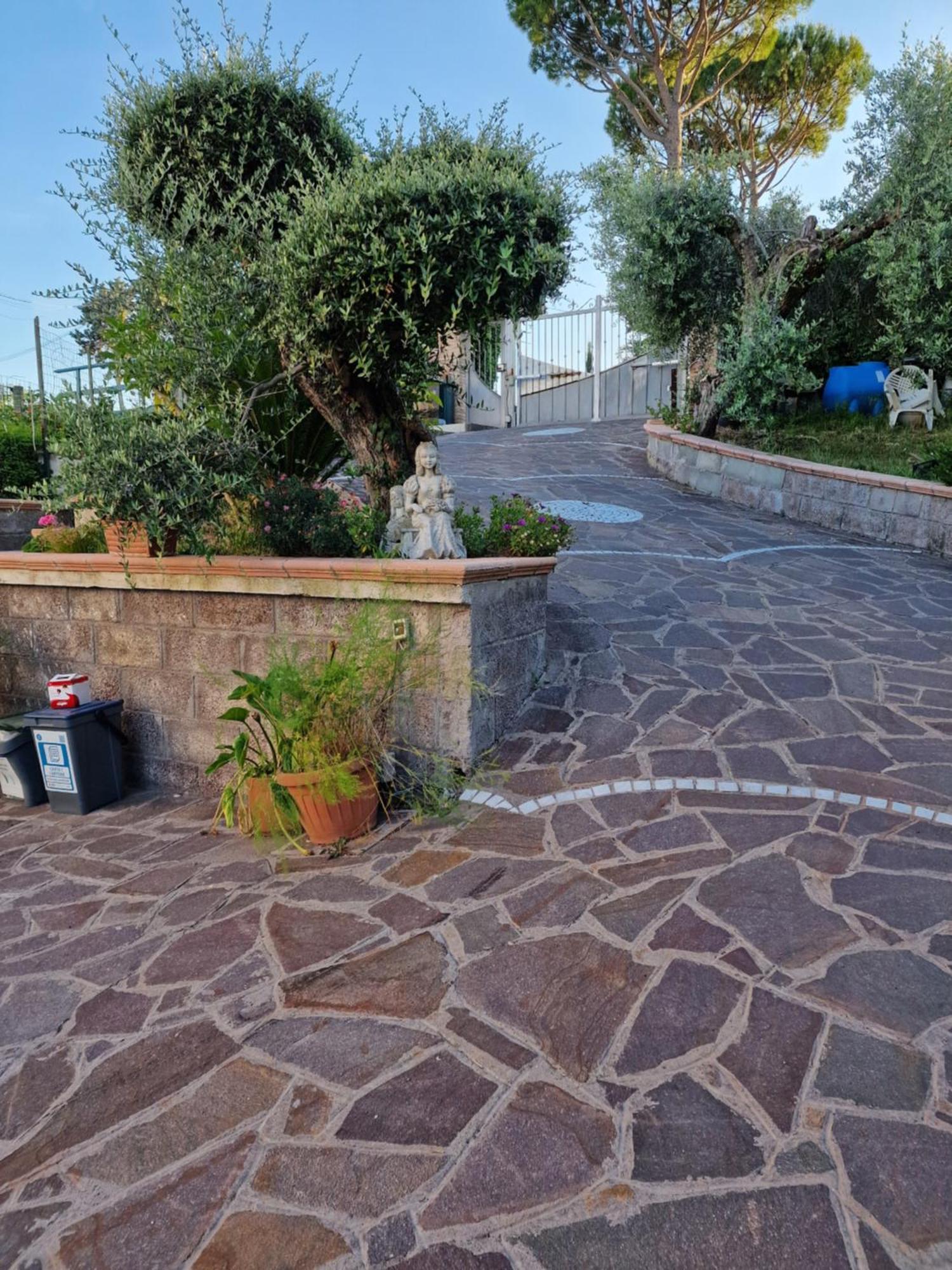 La Casa Tra Gli Ulivi Di Fonte Nuova 2 Villa Mentana Bagian luar foto